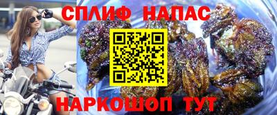 индика Шелехов
