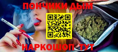 индика Шелехов