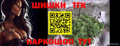 СК Шахты