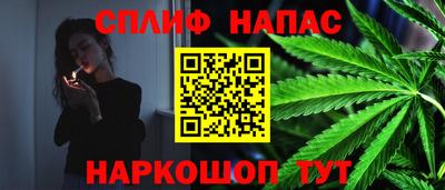 СК Шахты