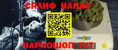 индика Шелехов