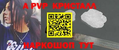 СК Шахты