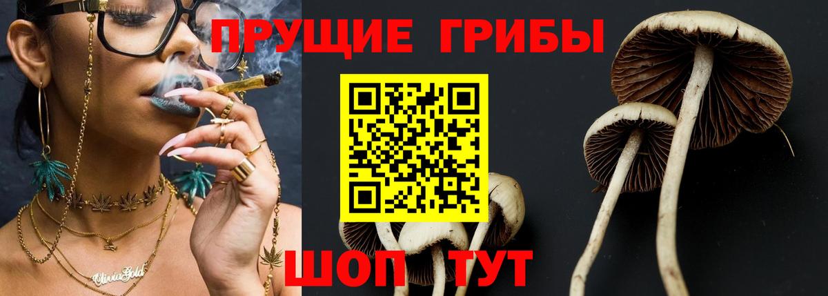 Галлюциногенные грибы GOLDEN TEACHER Гудермес